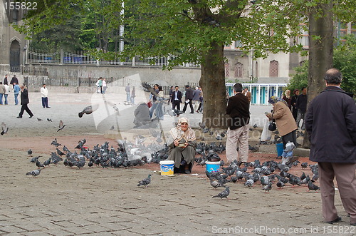 Image of Pigeon woman