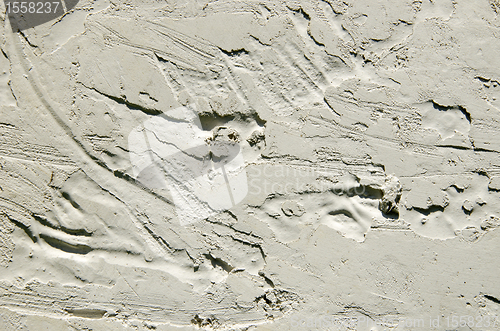 Image of Closeup of rough plastered walls background 