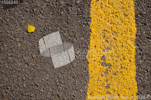 Image of Asphalt closeup yellow road mark small birch leaf 