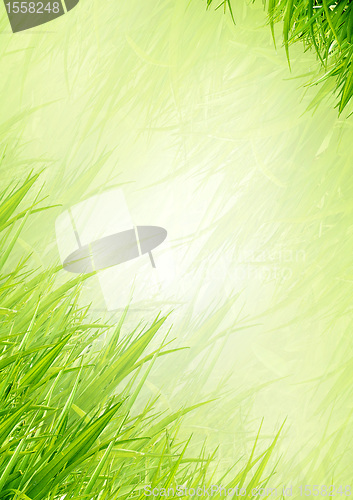 Image of Background from a grass