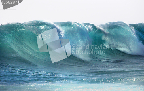 Image of Ocean wave 