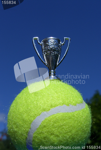 Image of Tennis Champion