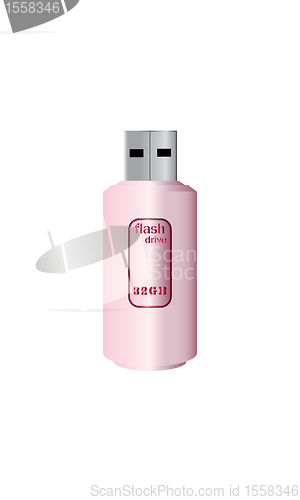 Image of Pink Flash Drive