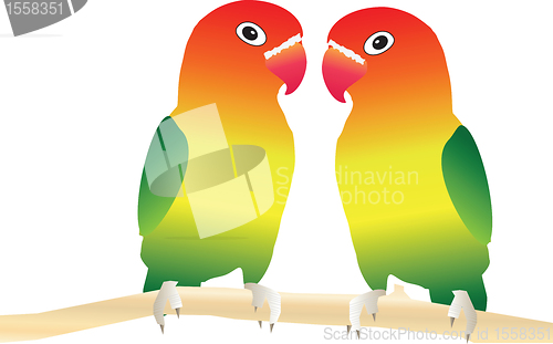 Image of Lovebirds