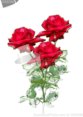 Image of red roses