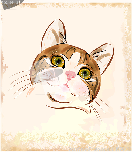 Image of vintage portrait of  ginger tabby cat