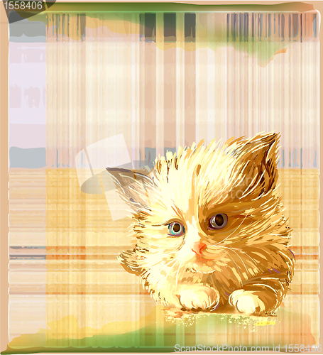 Image of ginger kitten over checked background