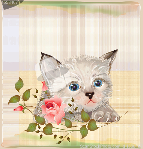 Image of fluffy kitten  with rose