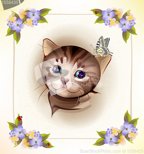 Image of birthday card with  little tabby kitten and butterfly