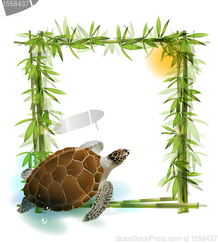 Image of tropical  background with bamboo, sun and sea turtle