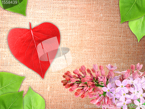 Image of Valentine background with flowers and leaf