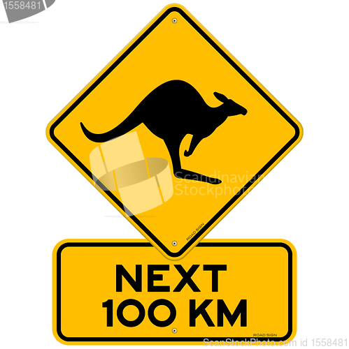 Image of Kangaroos Next 100 km