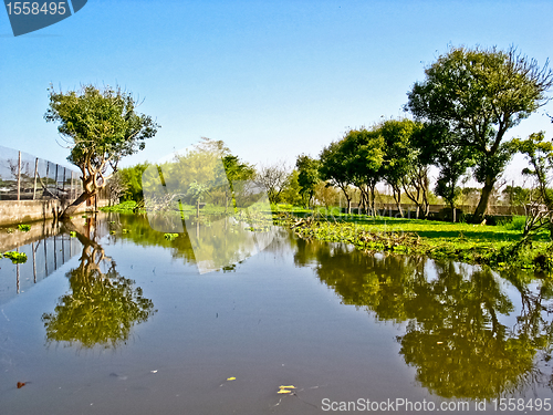 Image of The marsh land