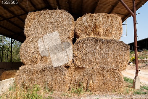 Image of Haystacks at the agricultural farm stored for animal feed