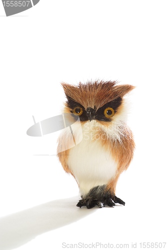 Image of Cute fluffy toy owl isolated 