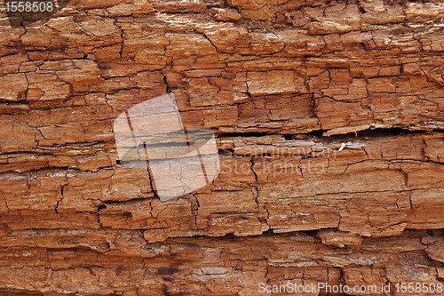 Image of Texture of cracked rotten wood