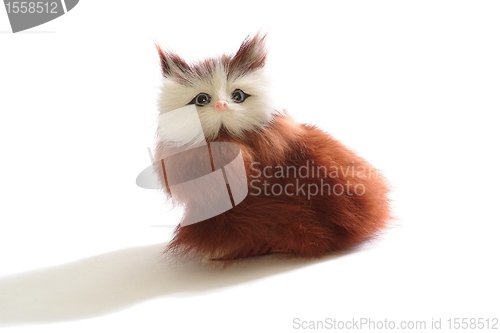 Image of Cute fluffy toy kitten isolated 