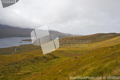 Image of rural landscape in north scotland