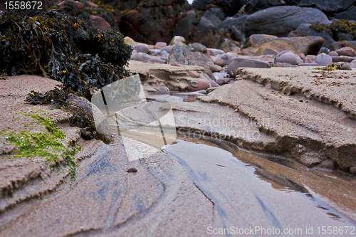 Image of closeup of costal scene