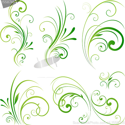 Image of Spring floral decorative swirls