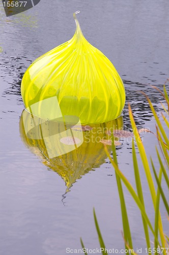 Image of glass in pond