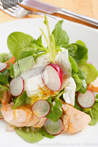 Image of radish and salmon salad