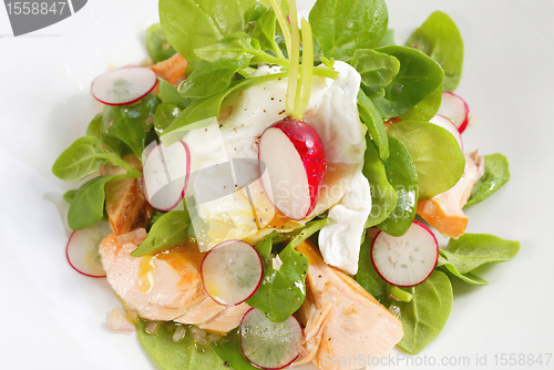 Image of radish and salmon salad