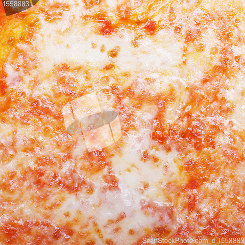Image of Pizza Margherita