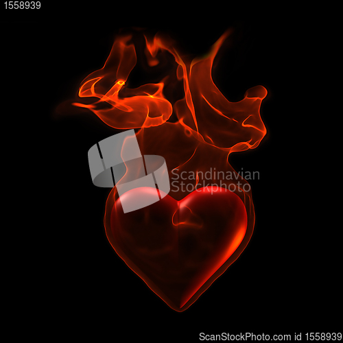 Image of Ardent heart
