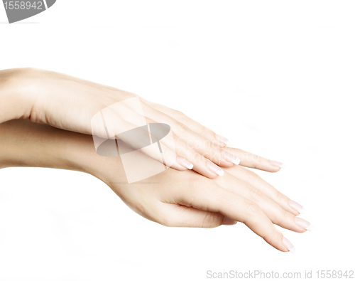 Image of Female hands