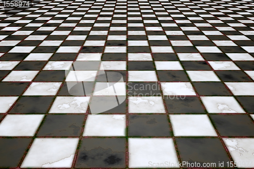 Image of black and white