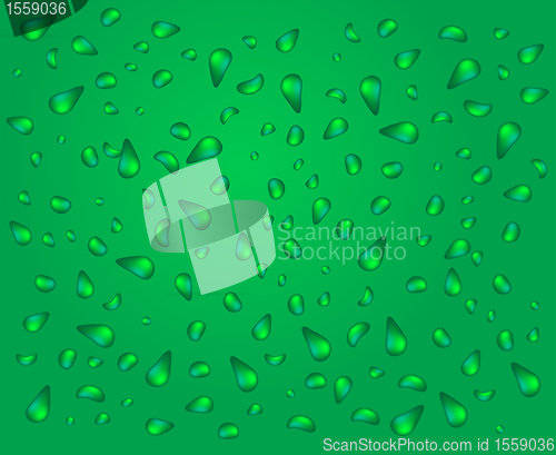 Image of green water background