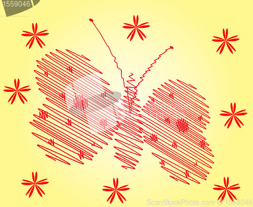 Image of butterfly