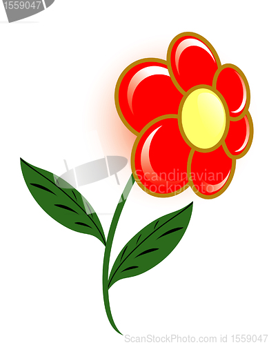 Image of flower
