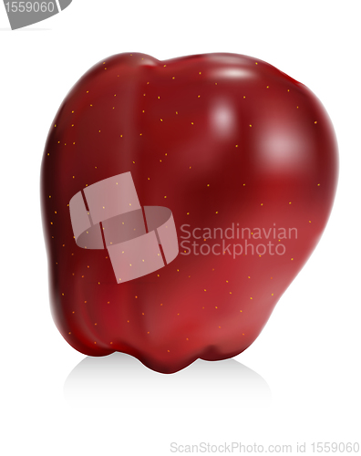 Image of red apple