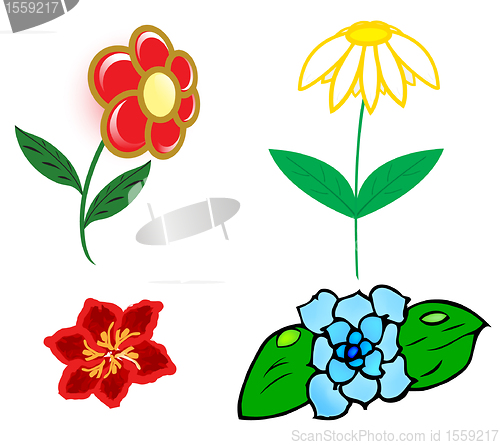 Image of four flowers