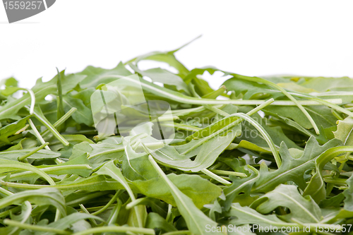 Image of Ruccola salad fresh heap leaf isolated on white 
