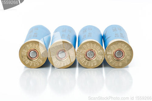 Image of Isolated shotgun shells