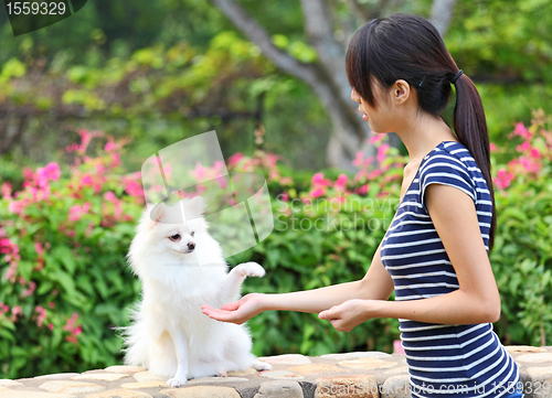 Image of woman training her dog