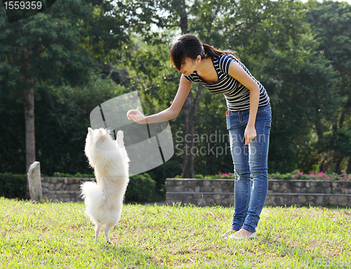 Image of woman train her dog