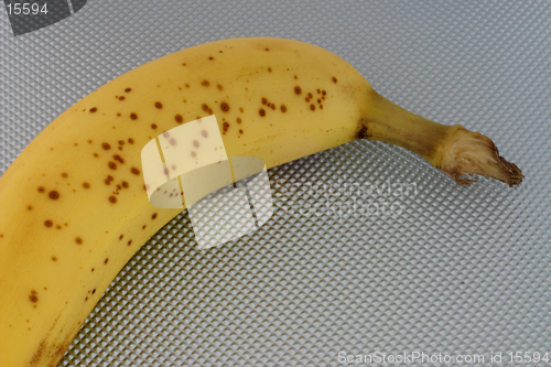 Image of Spotty Banana