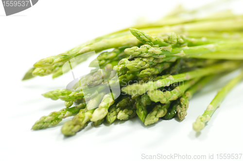 Image of Asparagus sprouts