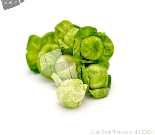 Image of Arrangement of brussels sprouts 