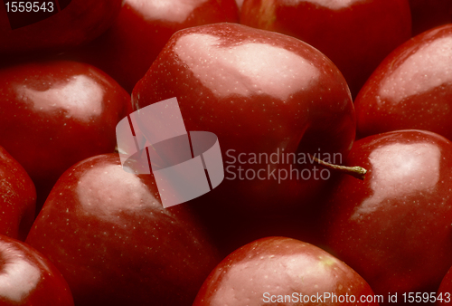 Image of Red Delicious Apples