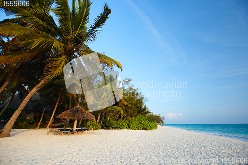 Image of Tropical beach