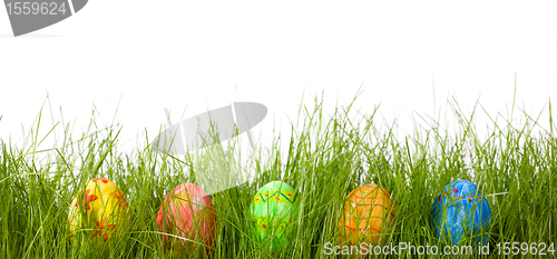 Image of Easter eggs in fresh green grass