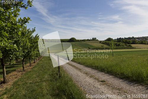 Image of rural scene in south germany