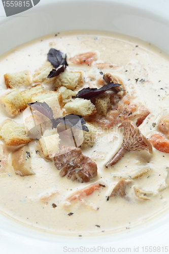 Image of Soup in the white dish