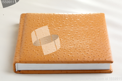 Image of orange book