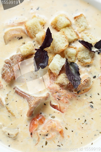 Image of Soup in the white dish
